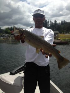 William - Brown Trout